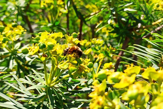 A hike to the Devil's Saddle - The Sum Up