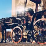 A Private Driver For 6 Hours (Private Tour) - Final Thoughts