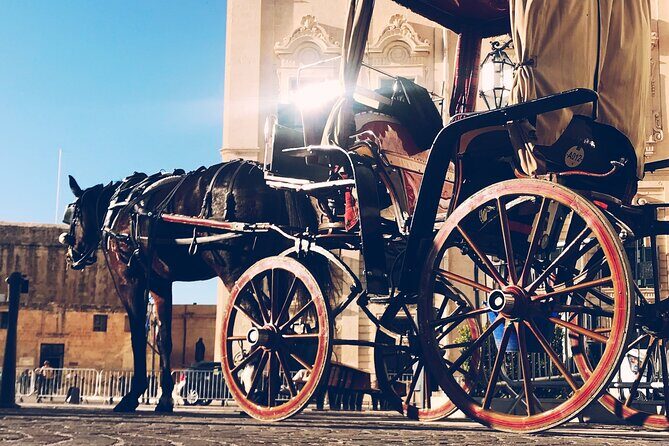 A Private Driver For 6 Hours (Private Tour) - Final Thoughts