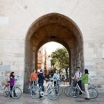 A Short Trip Excursion by Bike in Valencia! - What to Expect During Your Ride