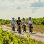 A Tour in Provence in a typical French motorized bike : the Solex - Detailed Breakdown of the Itinerary