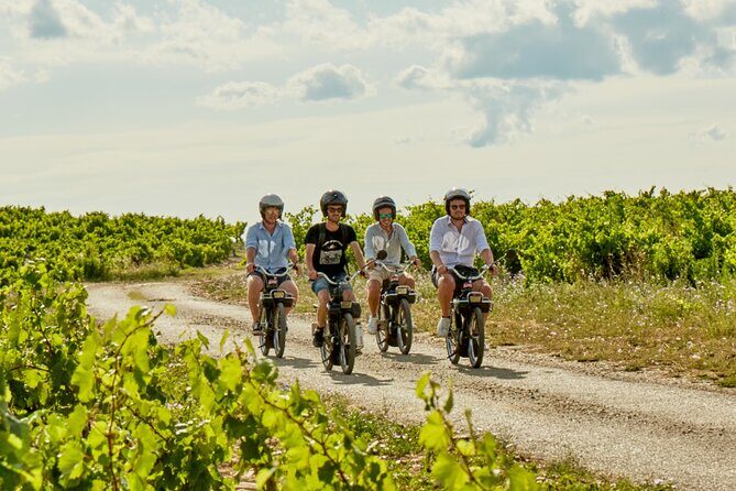 A Tour in Provence in a typical French motorized bike : the Solex - Detailed Breakdown of the Itinerary