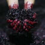 A trip through the Vinhos Verdes of the Basto Region - A Deep Dive into the Itinerary and Highlights