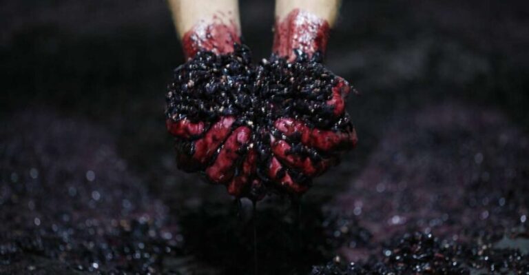 A trip through the Vinhos Verdes of the Basto Region - A Deep Dive into the Itinerary and Highlights