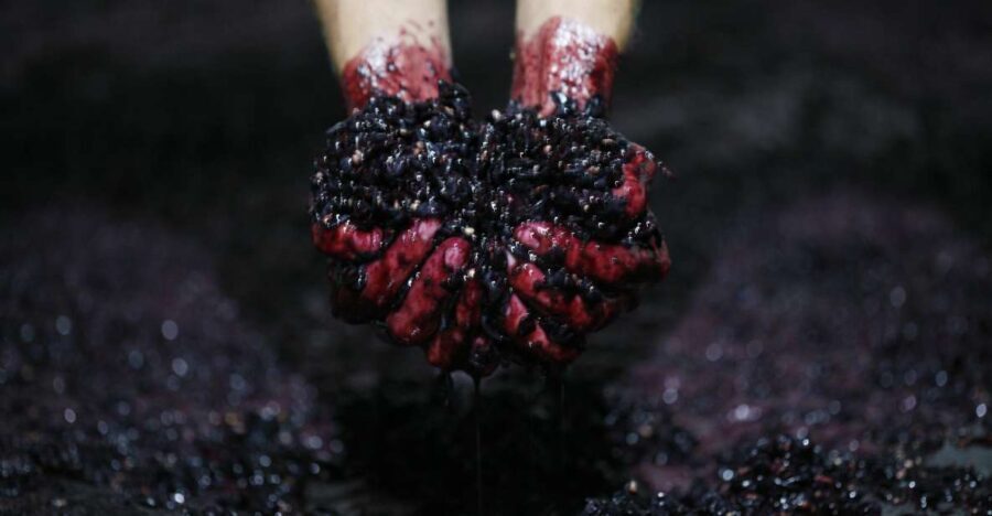 A trip through the Vinhos Verdes of the Basto Region - A Deep Dive into the Itinerary and Highlights