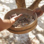 A unique Mastiha trip to Chios Island - Transportation and Duration