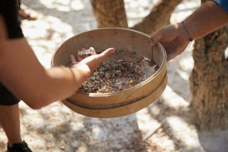 A unique Mastiha trip to Chios Island - Transportation and Duration