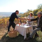 A unique sensory experience in the vineyards - Practical Details and Logistics