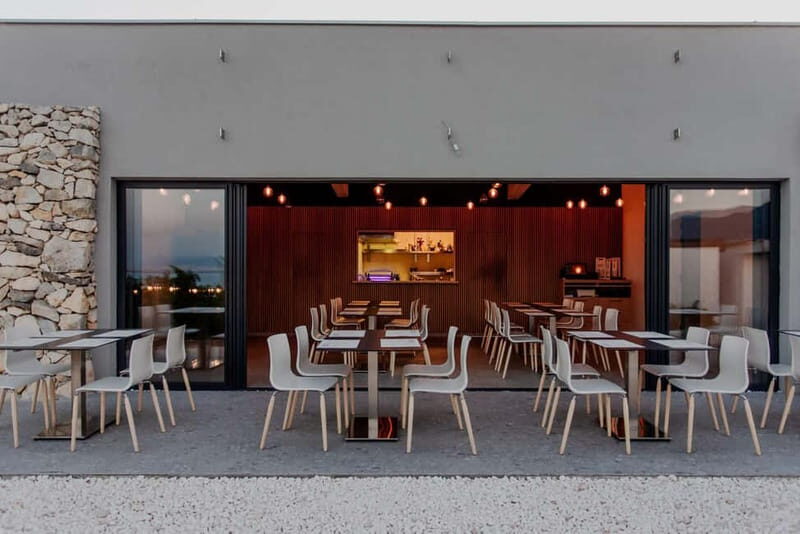 A Vineyard Feast: A Group Dinner and Wine Tasting - Setting the Scene: What to Expect