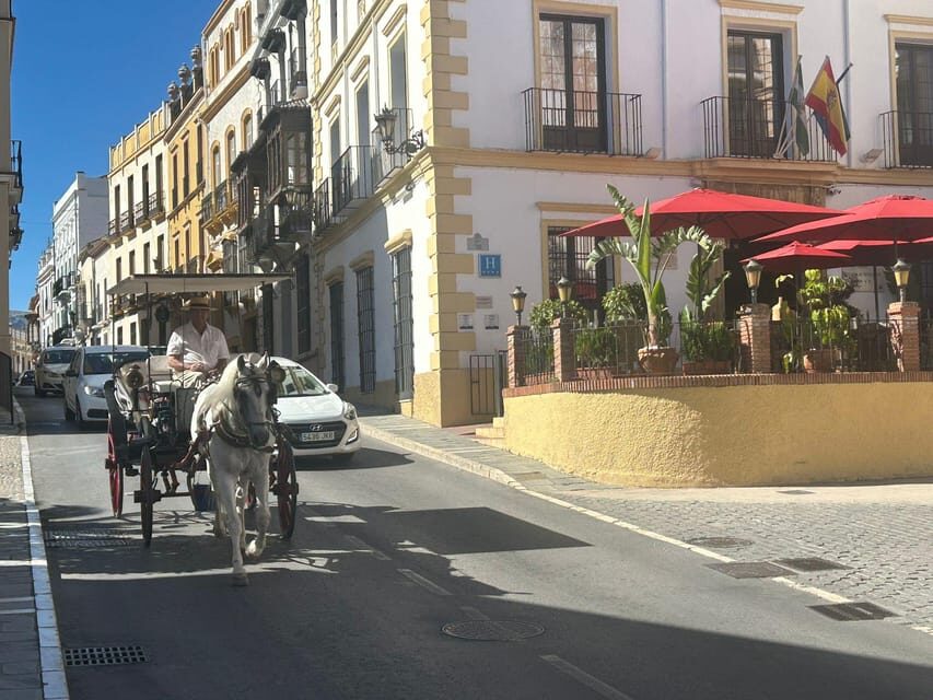 ab Marbella: Private VIP-Tour Ronda incl. Transfer + Tapas - What’s Included and What to Expect