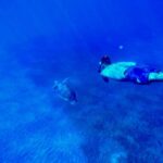 Abades: Guided Snorkeling Tour with Photos - What Makes This Tour Stand Out?