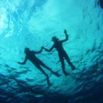 Abades: Paddle Surf and Snorkel with Turtles in a Volcanic Reef - Who Is This Tour Best For?