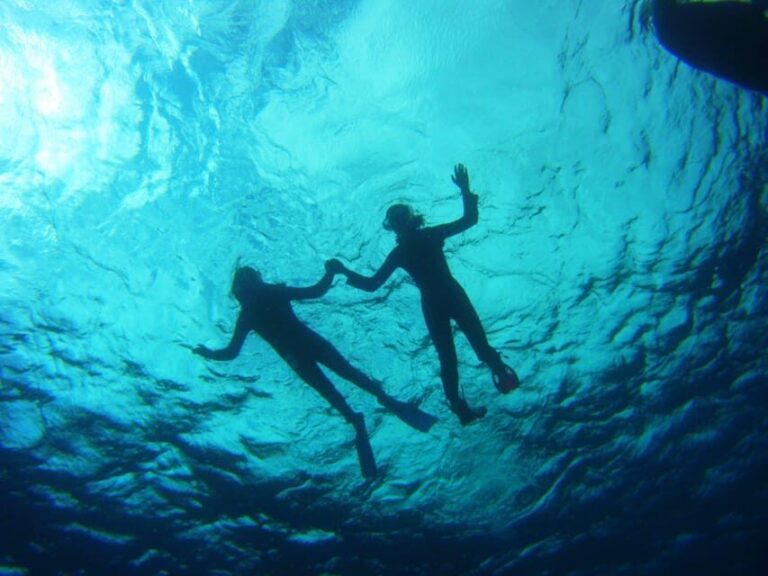 Abades: Paddle Surf and Snorkel with Turtles in a Volcanic Reef - Who Is This Tour Best For?