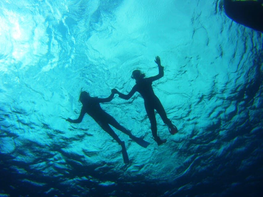 Abades: Paddle Surf and Snorkel with Turtles in a Volcanic Reef - Who Is This Tour Best For?