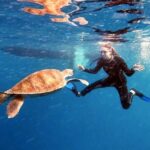 Abades: Tenerife Turtles and Rays Snorkeling Trip - Why This Tour Stands Out