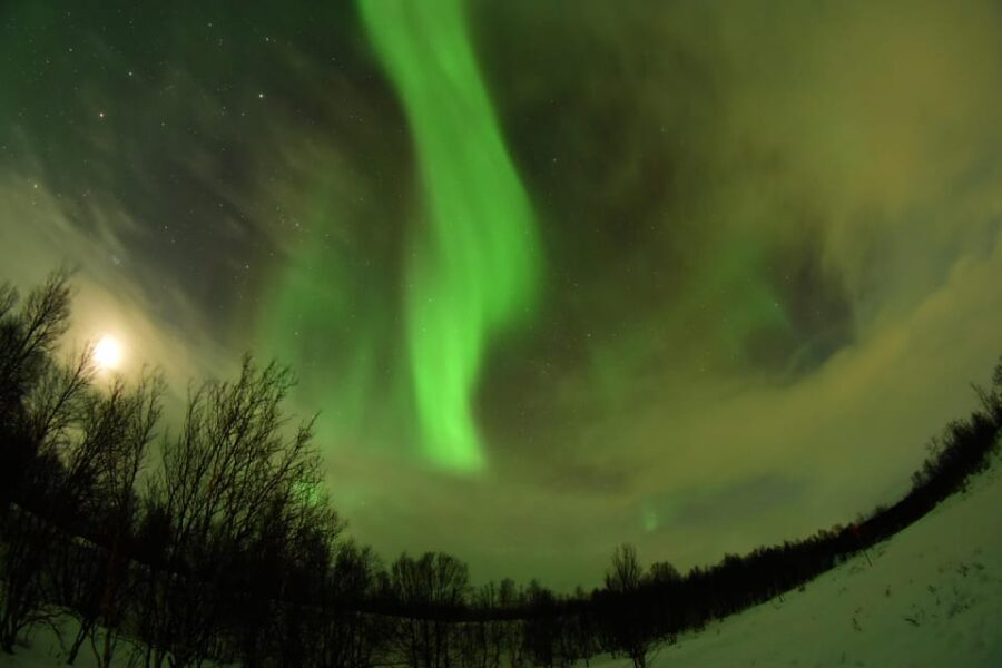 Abisko: Aurora Chasing with Snowmobiles - Key Points