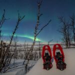 Abisko: Aurora Snowshoeing - The Itinerary Breakdown