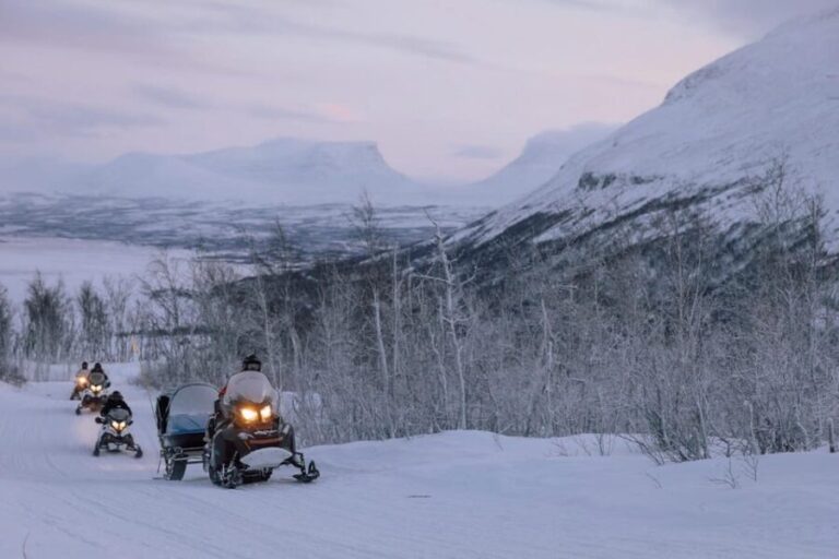 Abisko/Björkliden: Panorama Snowmobile Tour with Snacks - The Value of This Snowmobile Experience