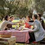 Abruzzo: Country Picnic in an Olive Grove at a Winery - A Detailed Look at the Experience