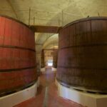 Abruzzo: Historic Cellar Wine Tour and Tasting - What Makes This Tour Stand Out?