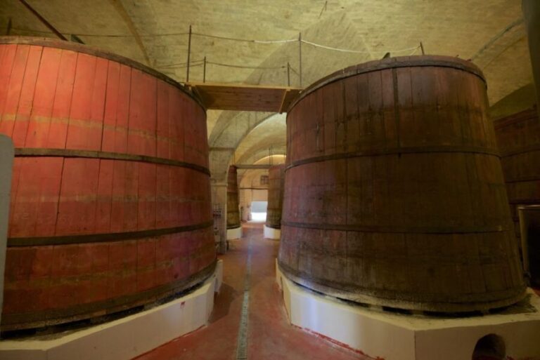 Abruzzo: Historic Cellar Wine Tour and Tasting - What Makes This Tour Stand Out?