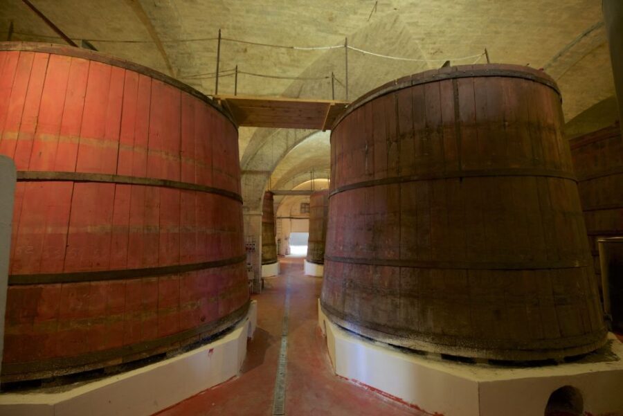 Abruzzo: Historic Cellar Wine Tour and Tasting - What Makes This Tour Stand Out?