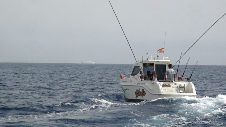 Adeje: 3.5Hour Professional Fishing Experience - What is this fishing tour all about?