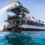 Adeje: Whale and Dolphin Watching Cruise with Lunch and Swim - Who Will Love This Tour?