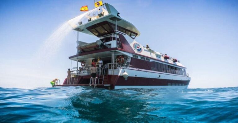 Adeje: Whale and Dolphin Watching Cruise with Lunch and Swim - Who Will Love This Tour?