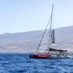 Adults Only Tenerife Freebird Whale Dolphin Catamaran with Lunch - Final Thoughts