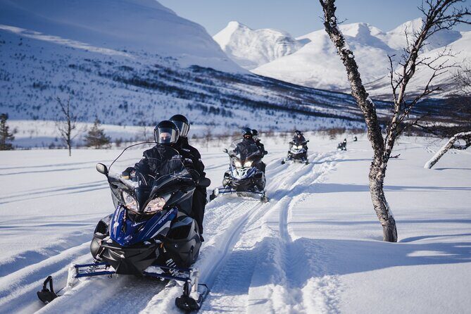 Adventure Snowmobile Safari - What the Reviews Say