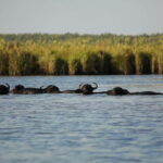 Adventure Tour In Georgia From Kutaisi - Practical Insights & Tips