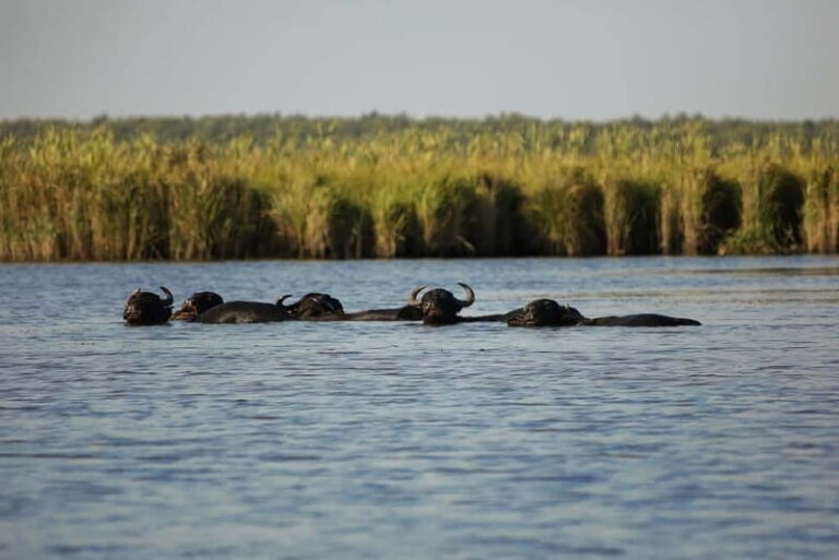 Adventure Tour In Georgia From Kutaisi - Practical Insights & Tips