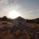 Aegina: Ancient Olive Grove (Eleonas) & Perdika Village Tour - Final Thoughts