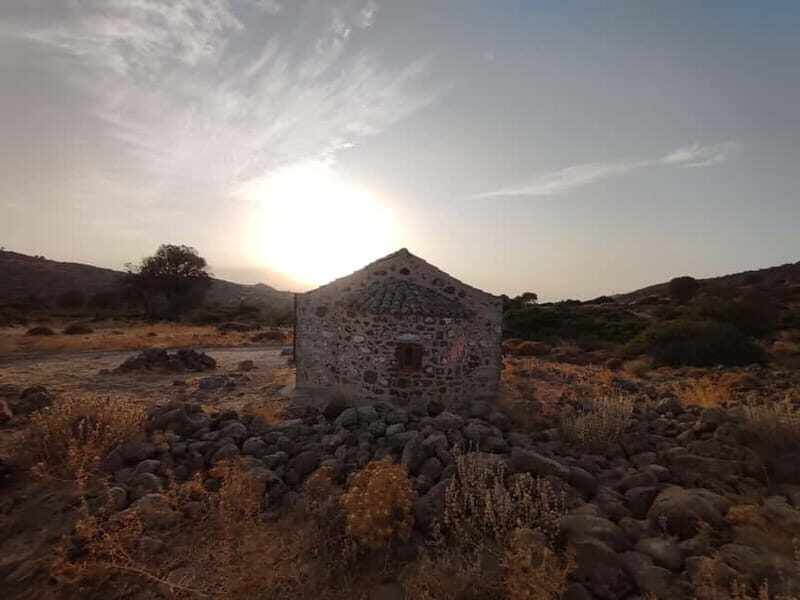 Aegina: Ancient Olive Grove (Eleonas) & Perdika Village Tour - Final Thoughts