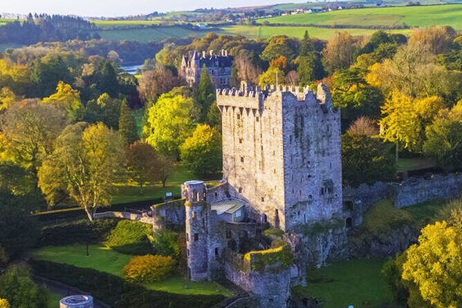 Afternoon Blarney Castle and Cobh Half Day Tour from Cork - The Transportation & Group Dynamics
