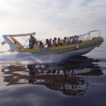 Afternoon Kayaking in Dubrovnik - The Value of This Tour