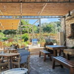 Agia Marina - Chania - visit to an oil mill and organic winery - What Sets This Tour Apart?