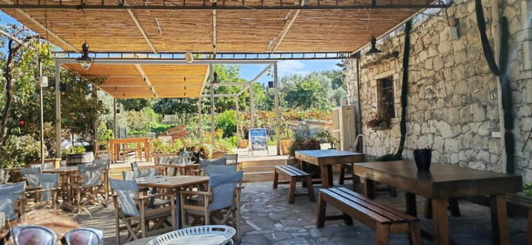 Agia Marina - Chania - visit to an oil mill and organic winery - What Sets This Tour Apart?