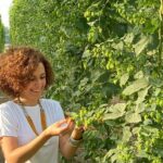 Agricultural Brewery Tour in the Roman Countryside - The Sum Up: Who Will Love This Tour?