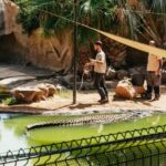 Agüimes: Cocodrilo Park Zoo Entry Ticket - The Experience: Why It’s Worth Visiting