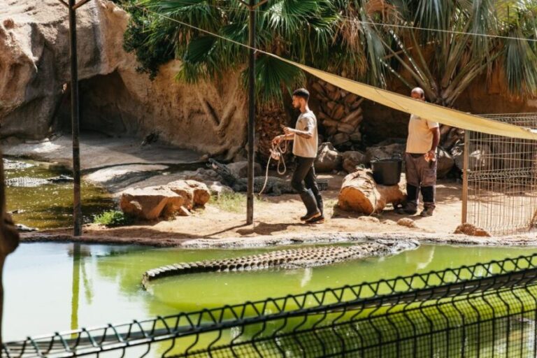 Agüimes: Cocodrilo Park Zoo Entry Ticket - The Experience: Why It’s Worth Visiting
