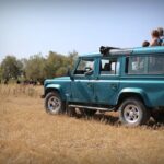 Aigues Mortes: 4x4 photo safari in the Camargue - The Experience in Detail