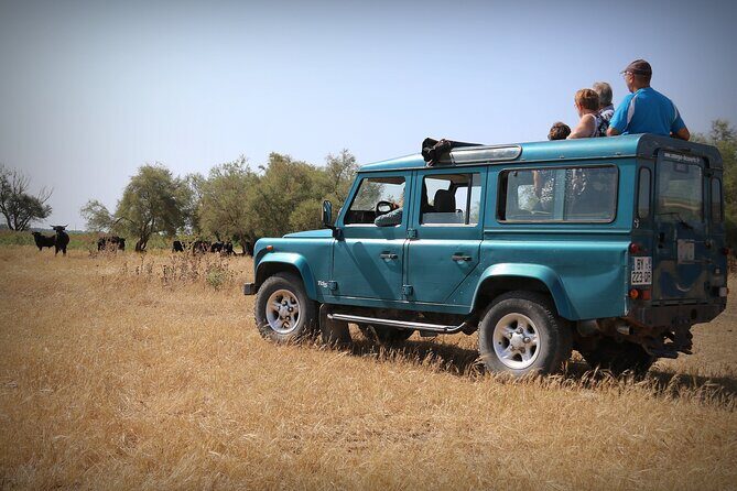 Aigues Mortes: 4x4 photo safari in the Camargue - The Experience in Detail