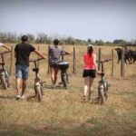 Aigues Mortes: safari en vélo - Ebike tour in Camargue - The Cultural and Natural Significance