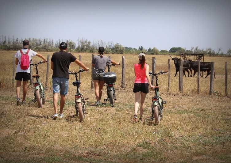 Aigues Mortes: safari en vélo - Ebike tour in Camargue - The Cultural and Natural Significance