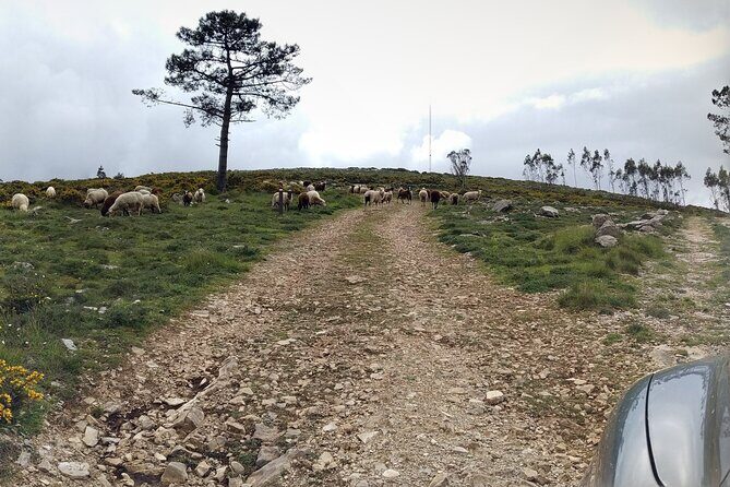 Aire & Candeeiros: Nature, Fossils and Forgotten Traditions - Itinerary Breakdown