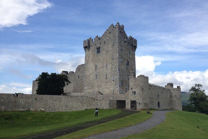 Airport collection and drop off transfers transport service. - An In-depth Look at the Transfer Experience