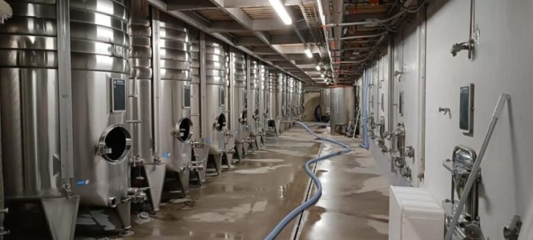 Aix-en-Provence: Avignon Tour & Chateauneuf-du-Pape Tasting - Authentic Experiences and Practical Details