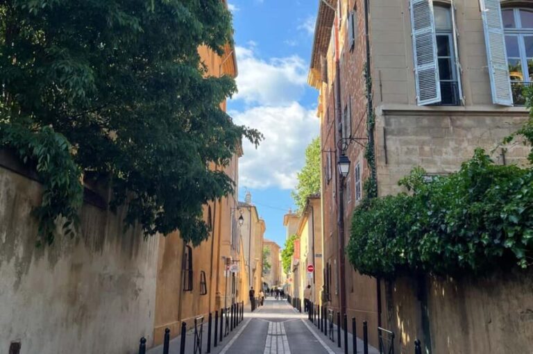 Aix-en-Provence: Between History and City Charm - Who Will Love This Tour?